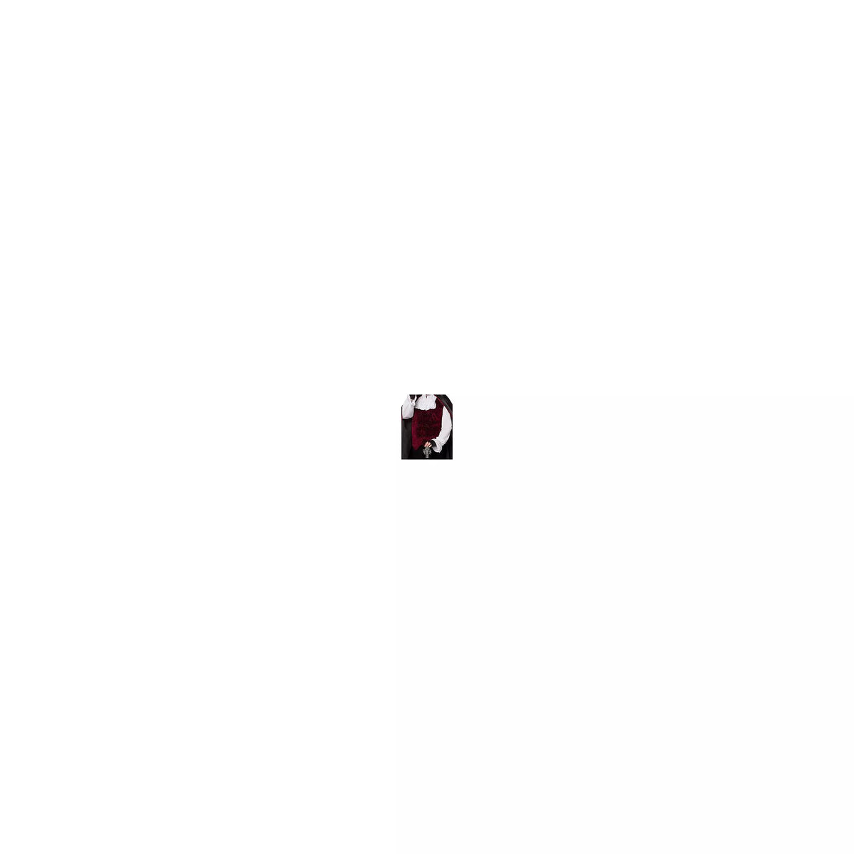 Adult Vampire Costume