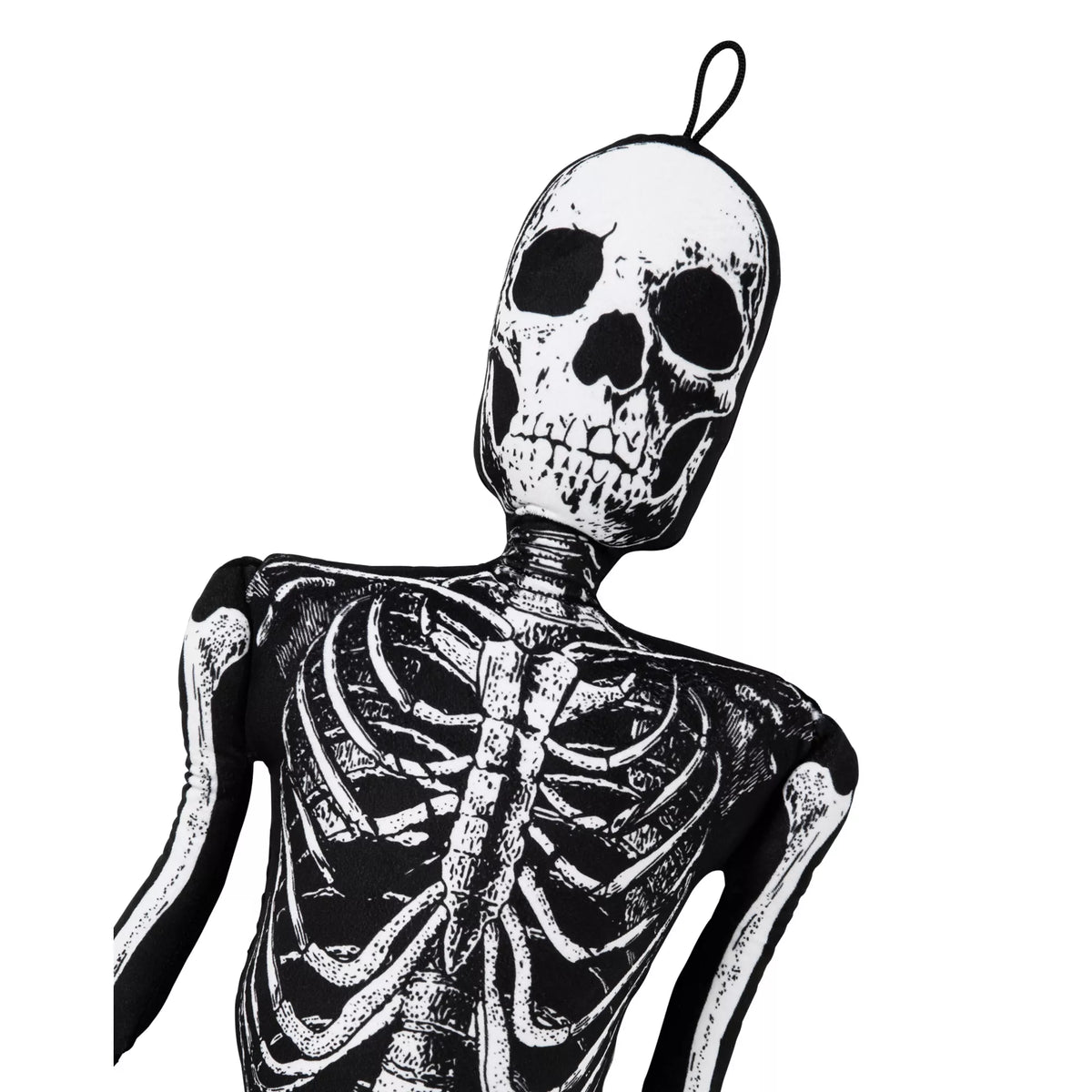 Ossa Bones Comfy Curiosity