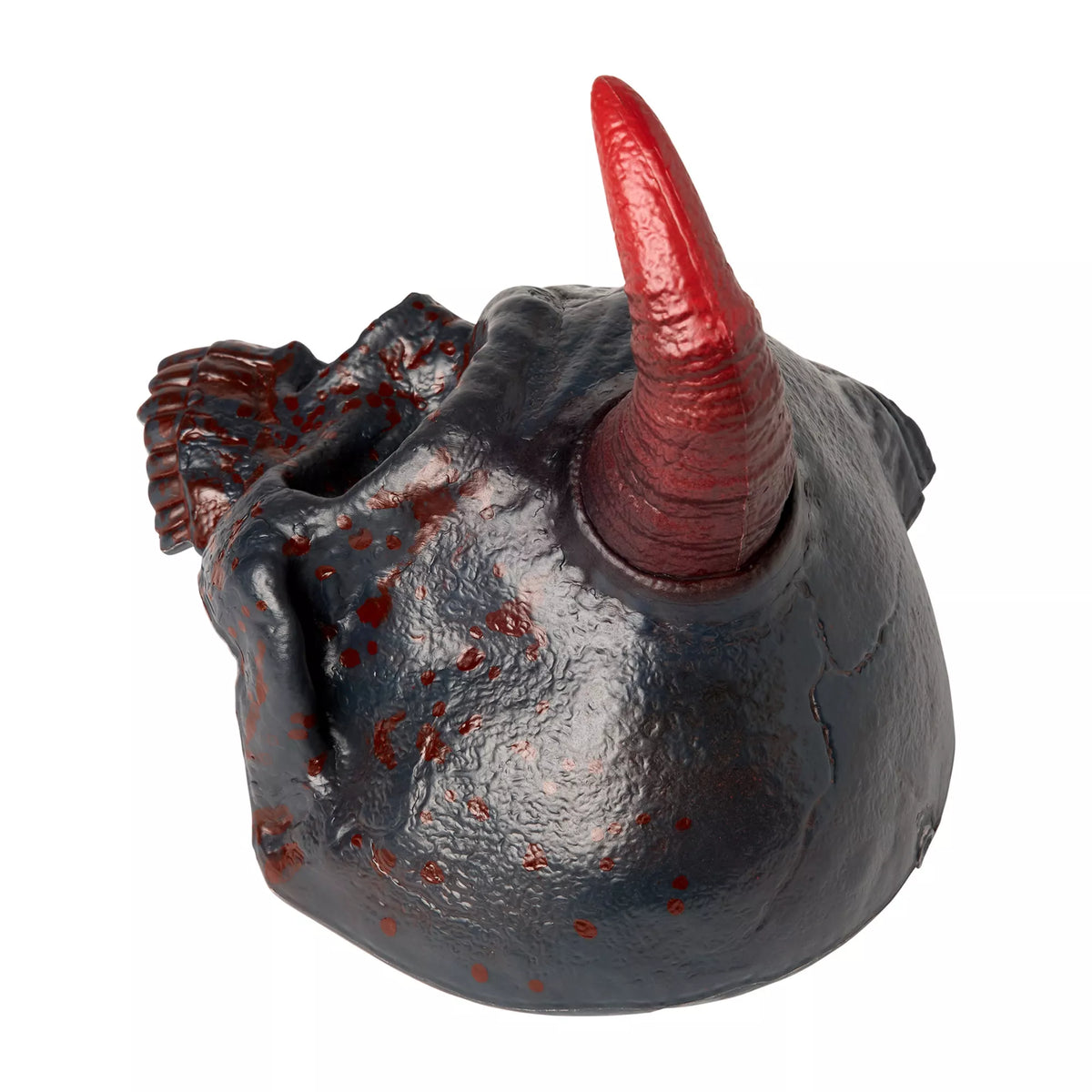 Fractured Horned Skull